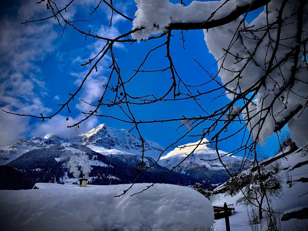 B&B Cuore Verde Poschiavo Extérieur photo